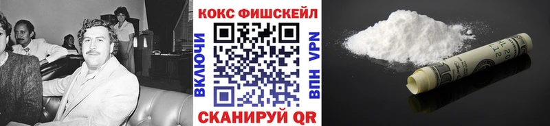 Купить закладки  Сенгилей  Кокаин VHQ 