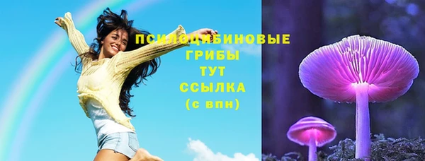амф Балахна