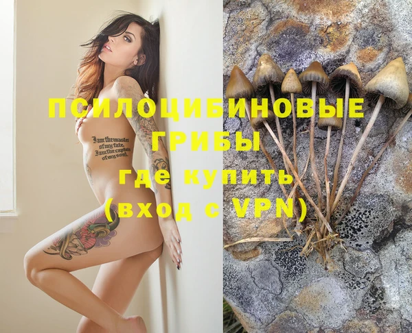 марихуана Баксан