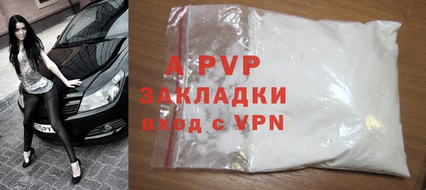 стафф Арсеньев