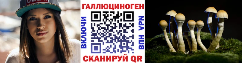 Псилоцибиновые грибы Magic Shrooms  Купить закладки  Сенгилей 